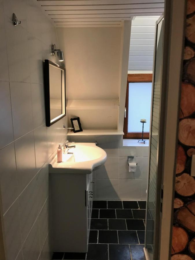 Heavenly Renovated Cabin Near Pittoresque Durbuy - Whistler别墅 外观 照片