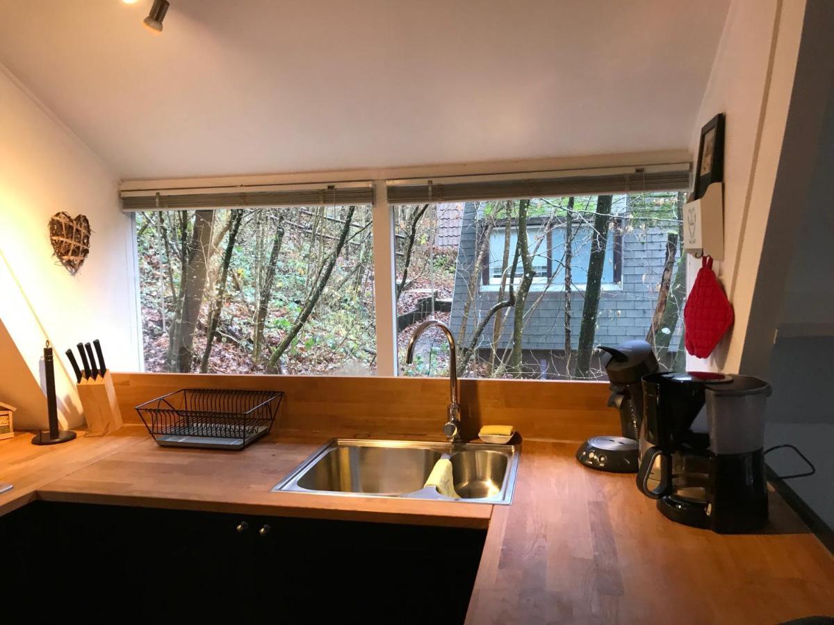 Heavenly Renovated Cabin Near Pittoresque Durbuy - Whistler别墅 外观 照片